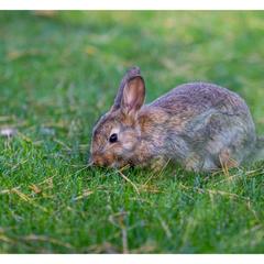 Мотель Мотель Восьмая Миля, Тольятти, Самарская область