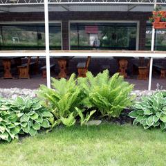 Отель Ловчий Плюс, Тольятти, Самарская область