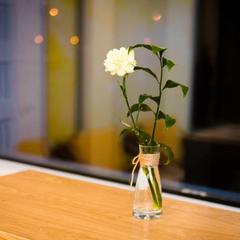 Гостинично-ресторанный комплекс Кокон, Тольятти, Самарская область