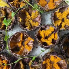 Гостинично-ресторанный комплекс Кокон, Тольятти, Самарская область