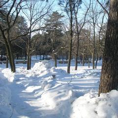 Парк-отель Морской, Тольятти, Самарская область