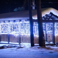 База отдыха Академия, Томск, Томская область