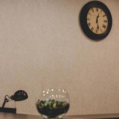 Гостиница Картуши, Тотьма, Вологодская область