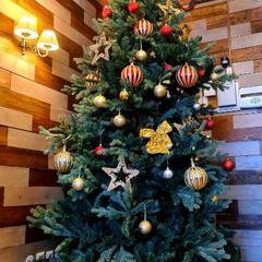 Спа-отель Спа-отель Староямская, Торжок, Тверская область