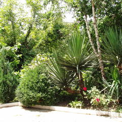 Гостиница Чайка, Туапсе, Краснодарский край