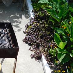 Гостиница Чайка, Туапсе, Краснодарский край