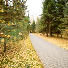 Загородный отель Истра Holiday, Солнечногорский район, Московская область