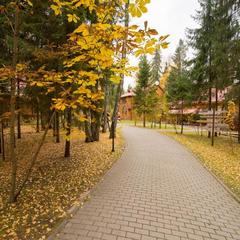 Загородный отель Истра Holiday, Солнечногорский район, Московская область