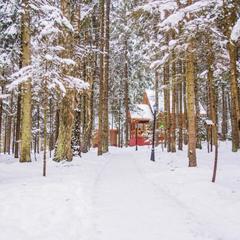 Загородный отель Истра Holiday, Солнечногорский район, Московская область