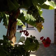 Гостевой дом Релакс, Туапсе, Краснодарский край