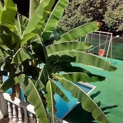 Гостевой дом Релакс, Туапсе, Краснодарский край