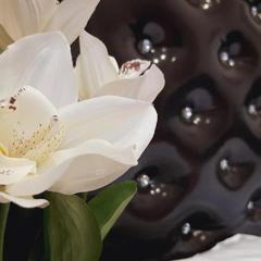 Отель Звездный, Туапсе, Краснодарский край