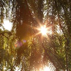 Загородный отель Истра Holiday, Солнечногорский район, Московская область