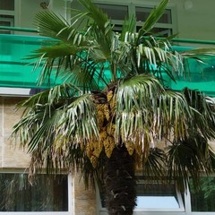 Пансионат Южный, Южный, Краснодарский край