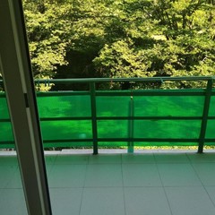 Пансионат Южный, Южный, Краснодарский край