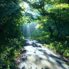 Пансионат Южный, Южный, Краснодарский край