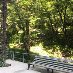 Пансионат Южный, Южный, Краснодарский край