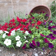 Пансионат Южный, Южный, Краснодарский край