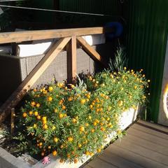 Гостевой дом Кунаки, Туапсе, Краснодарский край