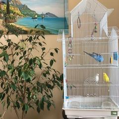 Гостевой дом Кит, Туапсе, Краснодарский край