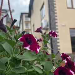 Гостевой дом Кит, Туапсе, Краснодарский край