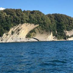 Гостевой дом Кит, Туапсе, Краснодарский край