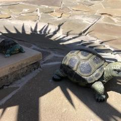 Гостевой дом Кит, Туапсе, Краснодарский край