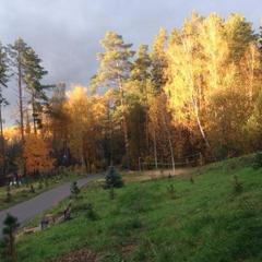 Загородный клуб Берлога, Тула, Тульская область