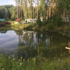 Загородный клуб Берлога, Тула, Тульская область