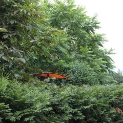 Гостевой дом Марианна, Тула, Тульская область