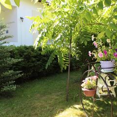 Гостевой дом Марианна, Тула, Тульская область