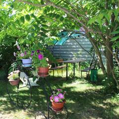 Гостевой дом Марианна, Тула, Тульская область