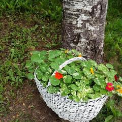 Хостел Волжские просторы, Тутаев, Ярославская область