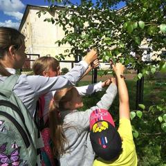 Гостевой дом Романовское подворье, Тутаев, Ярославская область