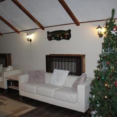 Гостевой дом Марианна, Тула, Тульская область