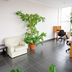 Гостиница Астория, Тюмень, Тюменская область