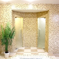 Парк-отель Прага, Тюмень, Тюменская область