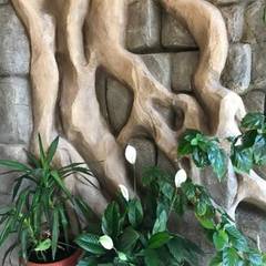 Гостиница Золотой орел, Тюмень, Тюменская область