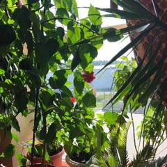 Гостиница Золотой орел, Тюмень, Тюменская область