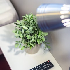 Отель Англия Тюмень Центр, Тюмень, Тюменская область