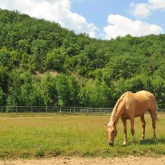 База отдыха Поляна Убинская, Убинская, Краснодарский край