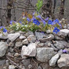 База отдыха Поляна Убинская, Убинская, Краснодарский край