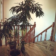 Отель Флер, Углич, Ярославская область