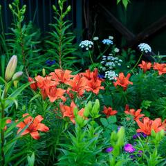 Отель Флер, Углич, Ярославская область