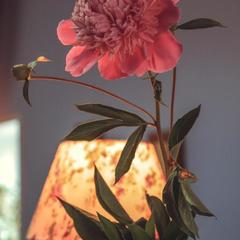 Отель Флер, Углич, Ярославская область