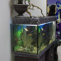 Отель Флер, Углич, Ярославская область