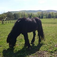 База отдыха Поляна Убинская, Убинская, Краснодарский край
