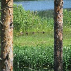 База отдыха Узмень, Деревня Узмень, Тверская область