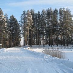 База отдыха Узмень, Деревня Узмень, Тверская область