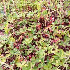 База отдыха Узмень, Деревня Узмень, Тверская область